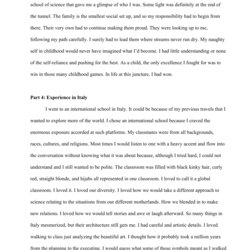 Terrific Memoir Essay Examples Sample