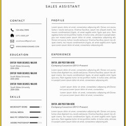 Admirable Microsoft Word Free Templates For Resumes Of Modern Resume Template Business Formats Simple Classic