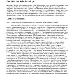 Matchless Scholarship Application Essay Format University Example