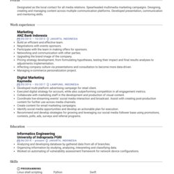 Perfect Digital Marketing Resume Sample Image