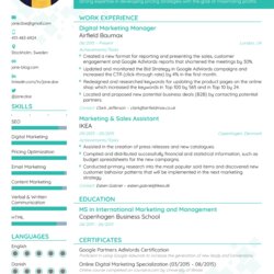 Superior How To Pick The Best Resume Format In Examples Marketing Formats Digital Template Latest Good