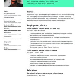 Super Digital Marketing Resume Examples Writing Tips Example