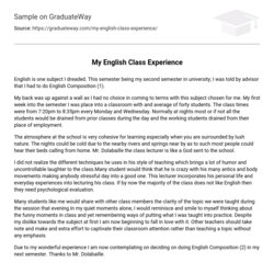 Super My English Class Experience Essay Example