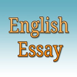 Superb Essay On My Favourite Complete For Class And English Essays