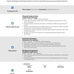Champion Objective Statement Resume Example Sample Samples Specifically Profession Writers Experienced