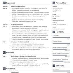 Cool One Page Company Design Free Sample Resume Templates Template Vibes