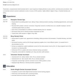 Perfect One Page Resume Templates To Fill In Download Examples Template Format
