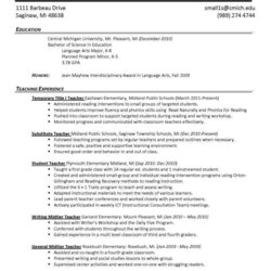 Fine Resume One Page Template Examples
