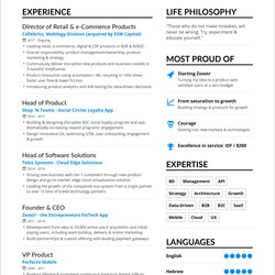 Splendid One Page Resume Examples To Show Its Impact Resumes Job Bordered