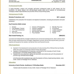 Magnificent One Page Resume Examples Good Format Sample Visit Tips Template