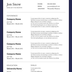 Perfect Resume Formats With Examples Professional Template