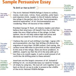Very Good St Joseph Hospital Persuasive Essays Essay Writing Examples Sample Opinion Format Write Template