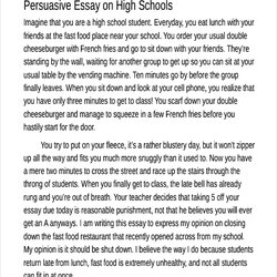 Terrific Sample Persuasive Essays For High School Students Examples Example