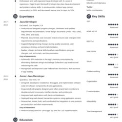 Magnificent Java Resume Summary Examples Baden Developer Example Template
