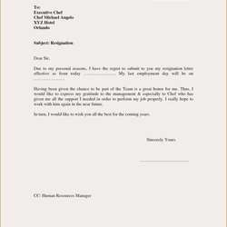 Superb Domestic Worker Resignation Letter Sample Mt Home Arts Resign Word Formal Resigning Samples Email