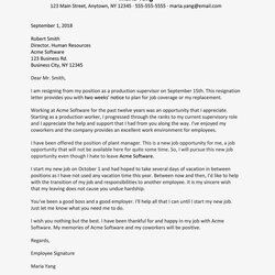 Champion Heartfelt Resignation Letter Samples References