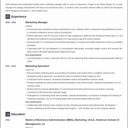 Brilliant Examples Of Marketing Resume Objectives Example Gallery