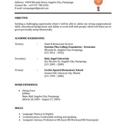 Excellent Format Of Resume For Job Sample First Time Applicant Application Examples Templates Example Simple