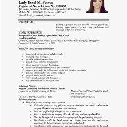 Legit Job Application Resume Format Examples