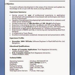 Perfect How To Write Resume For Job Application