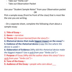 Observation Essay Sample Summary