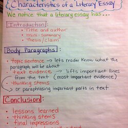Wonderful Two Reflective Teachers Peek Into Our Literary Essay Unit Example Writing Essays Charts Students