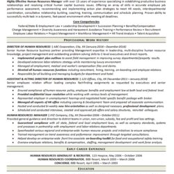 Fine View Human Resources Manager Resume Example Resource