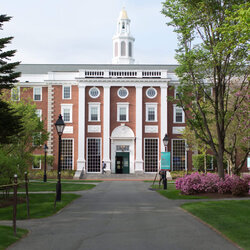 The Highest Standard Essay What Is Harvard Looking Young For Business School Scaled
