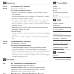 Hr Manager Resume Example Template Vibes Examples
