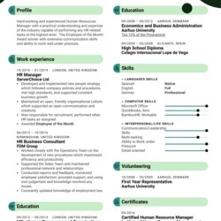 Wizard Hr Manager Resume Template Image