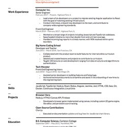 Exceptional How To Make The Perfect Resume With Examples Muse Example Good Chronological Template Google