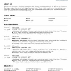 The Highest Standard Perfect Resume Example Download For Free Word Templates