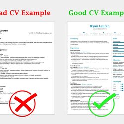 Good Examples With Writing Guide For Tips Resume