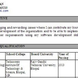 Outstanding Examples Of Resumes Objectives Free Download