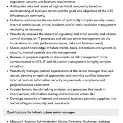 Wizard Infrastructure Senior Manager Job Description Velvet Jobs