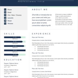 Resume Templates For Word Free New
