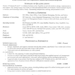 It Specialist Resume Free Sample Resumes Director Example Business Administration Samples Webmaster Help