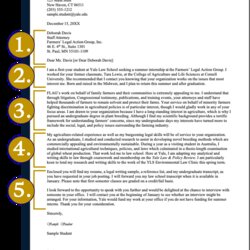 Outstanding Resume Cover Letter Package Example Web