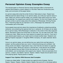 Personal Opinion Essay Examples Free Example Paper On Post Preview