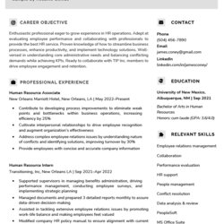 Spiffing Entry Level Hr Resume Sample Example Gallery
