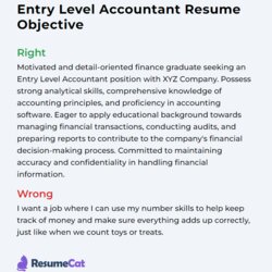Perfect Top Entry Level Accountant Resume Objective Examples Example