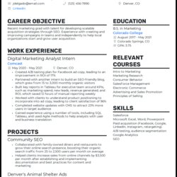 Very Good The World Best Resume You Can Actually Buy Entry Level Marketing Example