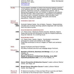 Terrific Resume Examples Letter Sample Example Resumes Template Experience Good Little Professional Samples