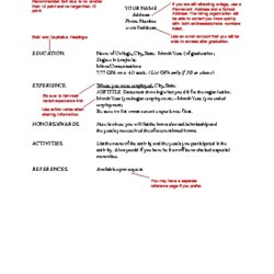 Basic Resume Examples Number