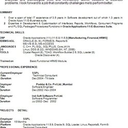 Magnificent Resume Example