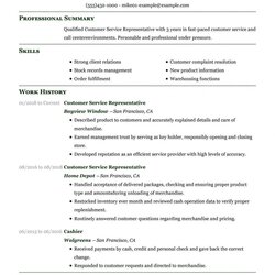 High Quality Professional Resume Is Shown In This Format It Shows The Skills And Objective