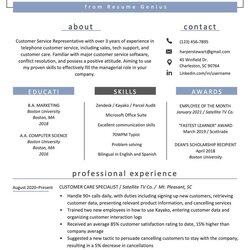 Out Of This World Customer Service Resume Samples Examples Skills Representative Sample Windsor Blue
