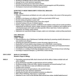 The Highest Quality Customer Service Resume Examples Skills