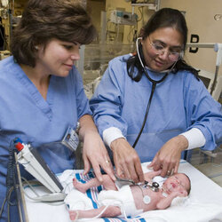 Wonderful Neonatal Nurse Official Hero Of The Hospitals Nurses Education Everything Requirements Including
