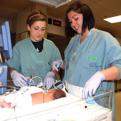 Peerless Neonatal Nursing Career Educational Requirements Nurses Statement Nurse Thesis Education